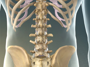 backpain_300